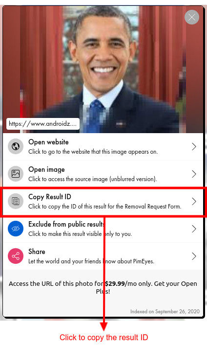 The position of the button to copy the link to PimEyes' search result